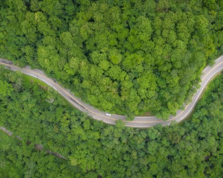 Droneshot van rijdende auto in groen bos