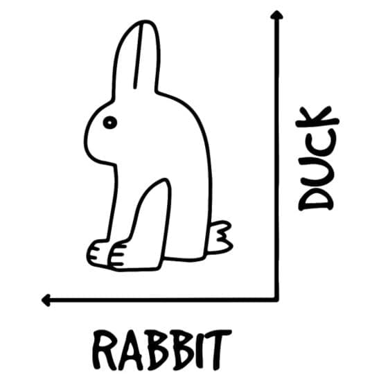 graoh duck rabbit math quote